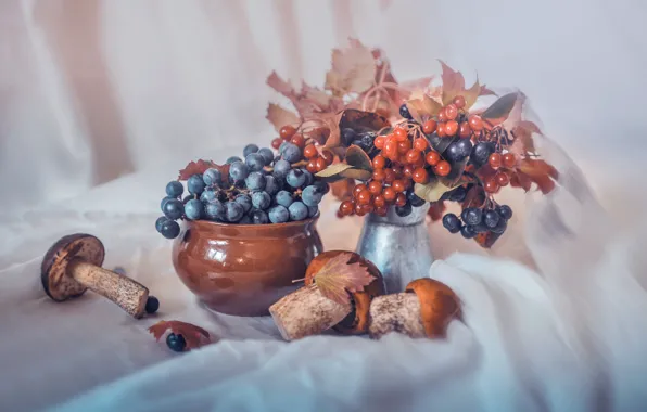 Berries, mushrooms, bouquet, blur, grapes, fabric, pot, still life