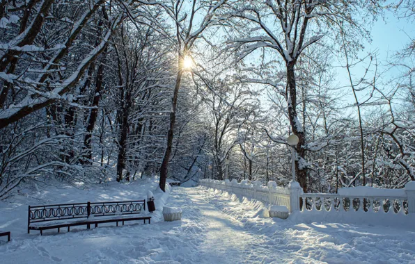 Picture Park, Belokhon Tatiana, snow, nature, winter, trees, alley, the sun