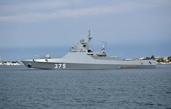 Ship, patrol, The black sea, Dmitry Rogachev