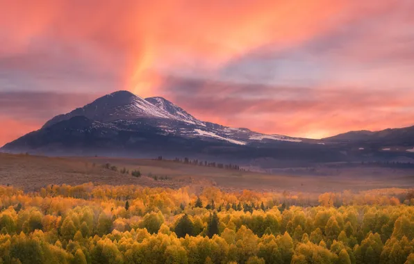 Autumn, forest, the sky, trees, mountains