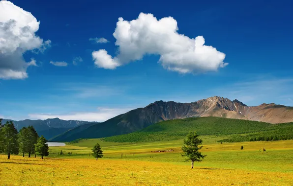 Greens, field, clouds, trees, mountains, blue, the slopes, tops