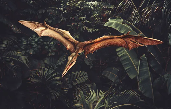 Flight, Wings, Dinosaur, Jungle, Animal, Digital art, Ancient animals, Extinct animals