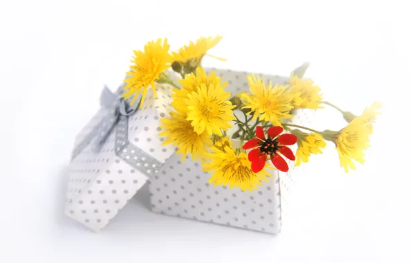 Flowers, box, gift, bouquet