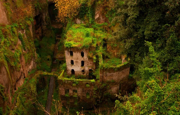 Greens, house, the building, gorge, ruins, abandonment, Sorrento