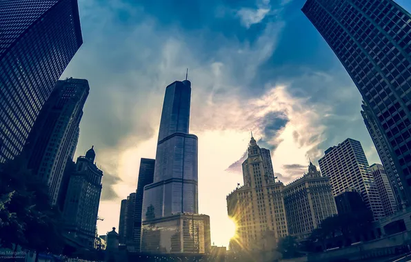 The evening, Chicago, Skyscrapers, Building, America, Il, Chicago, America