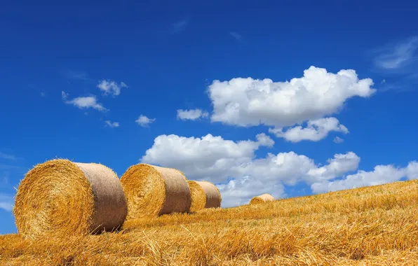 Picture summer, the sky, landscape, hay