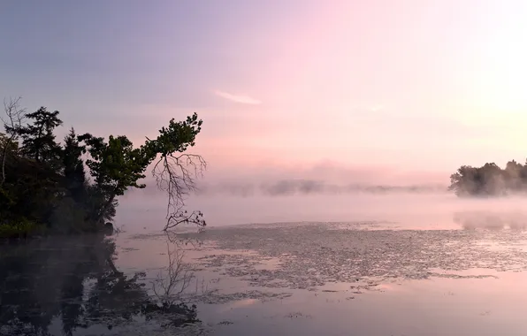 Picture landscape, nature, fog, lake, morning