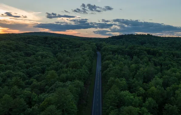 Picture twilight, road, sky, trees, landscape, nature, sunset, clouds