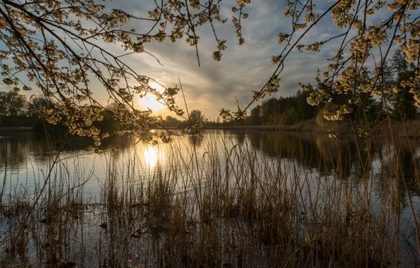 Picture sunset, lake, Germany, North Rhine-Westfalia, Dulmen