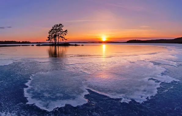 Winter, trees, sunset, ice, island, Finland, Finland, Lake Cariari