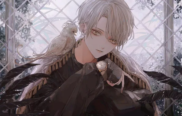 Guy, grey hair, yellow eyes, white bird, against the window, watch on hand, It sits …