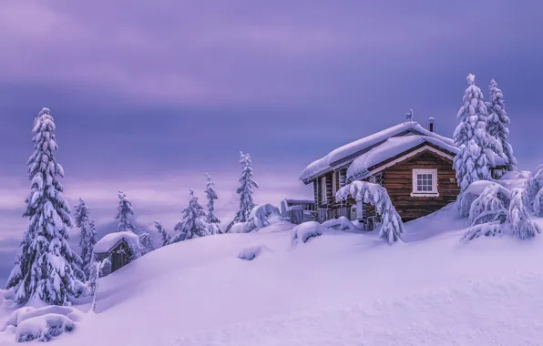 Picture winter, snow, trees, landscape, nature, house, ate, slope