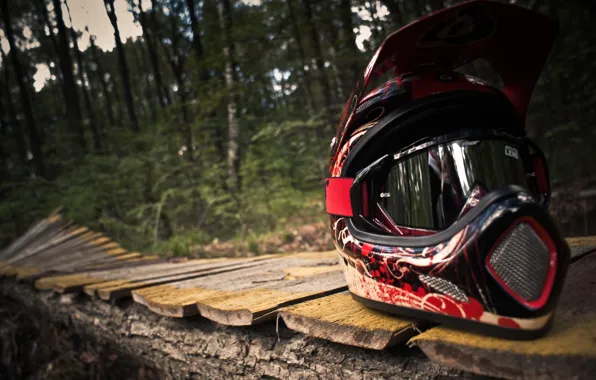 Picture forest, track, helmet, mount Biking