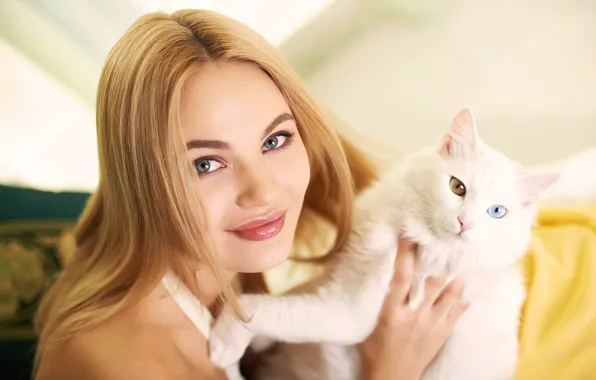 Cat, eyes, cat, look, girl, face, sweetheart, hair