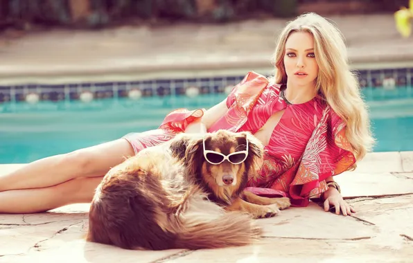 Picture look, girl, pose, dog, pool, Amanda Seyfried