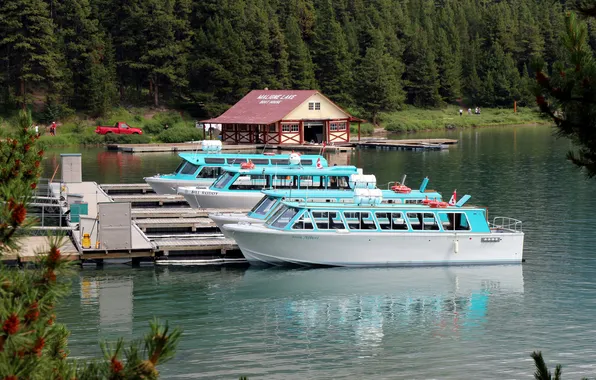 Forest, trees, river, pleasure boats