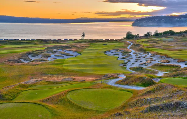 Forest, the sky, grass, clouds, trees, sunset, lake