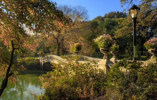 The sky, lantern, landscape. nature, flowers. bridge