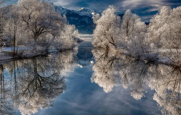 Picture winter, snow, trees, nature, lake, reflection