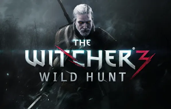 Picture sword, beard, Geralt, The Witcher 3: Wild Hunt, The Witcher 3: wild hunt, Andrzej Sapkowski, …