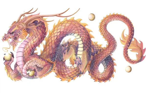 Picture dragon, scales, symbol