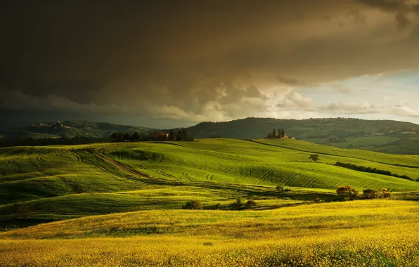Field, summer, the sky, clouds, hills, view, meadow, Italy