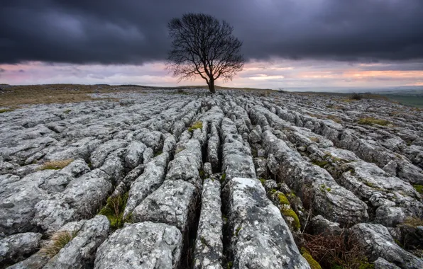 The sky, clouds, stones, tree, rocks