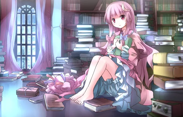 Look, girl, night, room, books, window, blush, moonlight