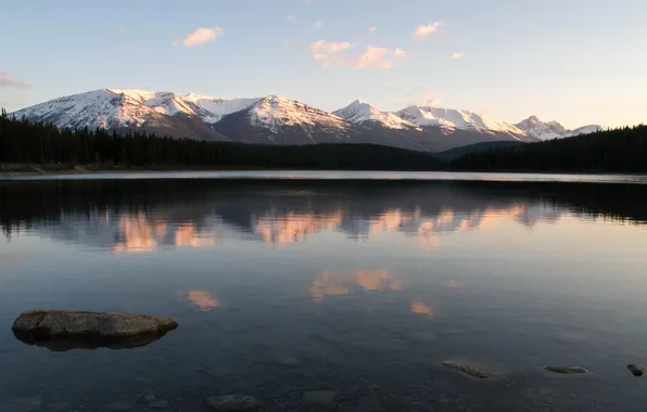 Forest, mountains, lake, stone