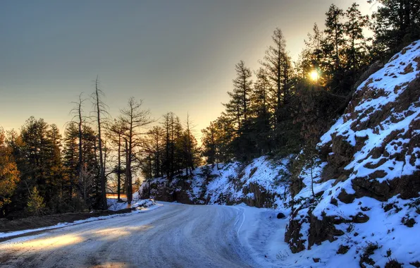 Picture road, landscape, spring, morning