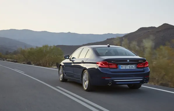 Picture road, the sky, mountains, markup, vegetation, BMW, sedan, rear view