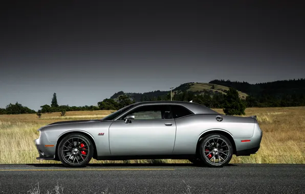 Field, Road, Machine, Classic, Dodge, Challenger, Drives, Side View