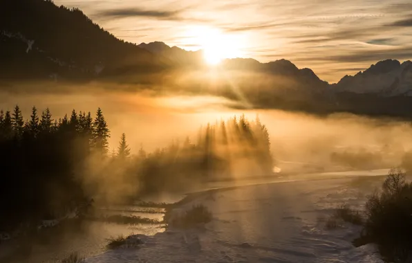 Winter, forest, the sun, rays, light, snow, mountains, fog
