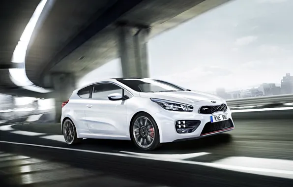 Picture Kia, Pro Cee'd, the tiger's mouth, tiger nose