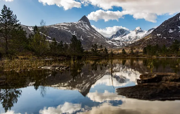 Picture Norway, Norway, Nordland, Marvoll