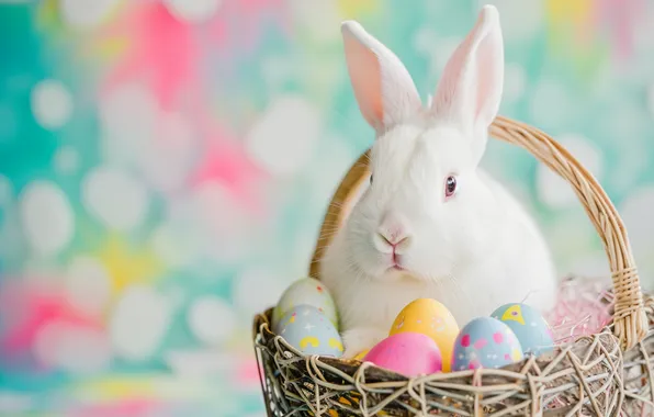 White, holiday, hare, eggs, spring, rabbit, Easter, basket
