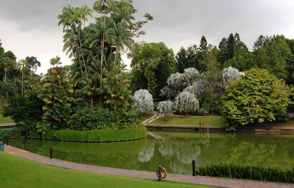 Picture grass, trees, design, pond, Park, palm trees, lawn, Singapore