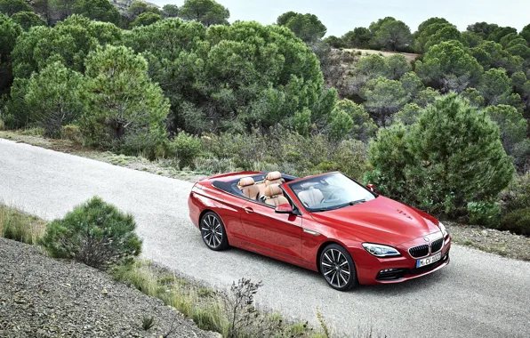 BMW, BMW, convertible, Cabrio, F12, 6-Series