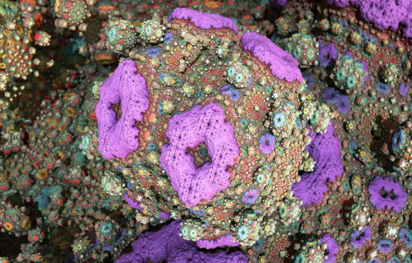 Picture light, Wallpaper, color, corals, the volume