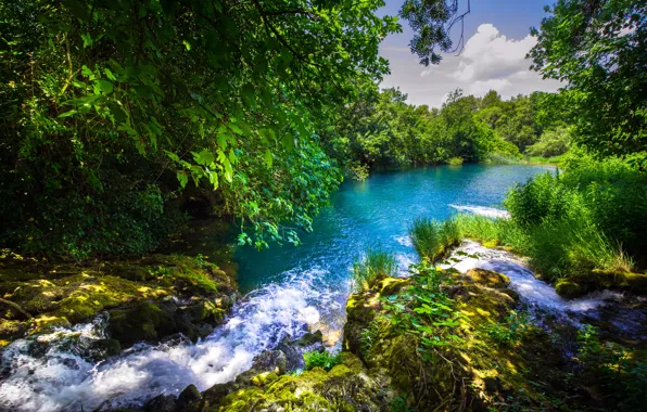 Forest, river, Croatia, Croatia, Krka National Park, the river Krka, Krka River, Krka national Park