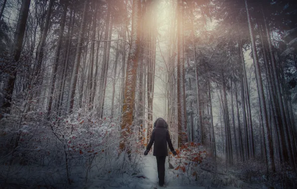 Wallpaper winter, forest, people