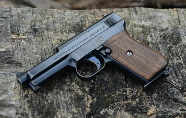 Gun, 1914, Mauser, self-loading