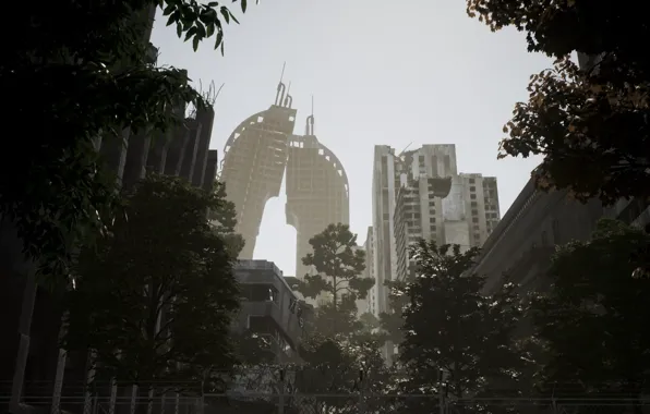 Trees, the city, building, destruction, ruins, Post Apocalyptic Sanctuary