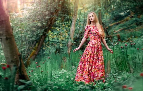 Picture summer, look, girl, nature, pose, hair, dress, blonde
