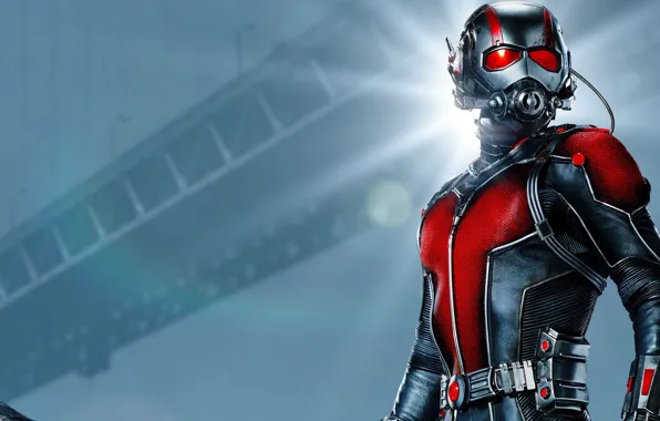 Ant Man | Marvel | Ant Man Superhero Wallpaper Download | MobCup