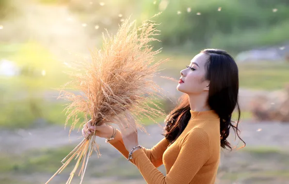 Picture summer, background, beauty, Asian