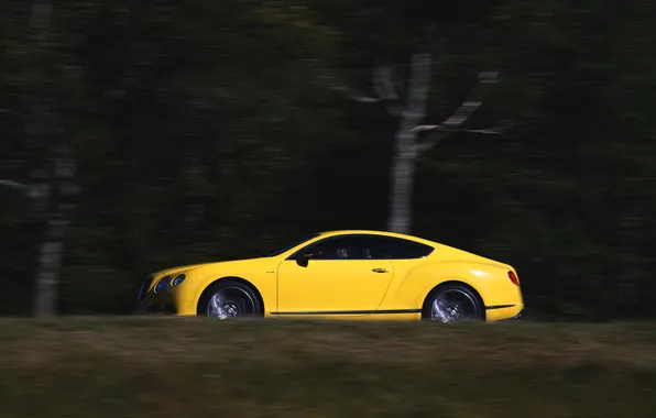 Auto, Bentley, Continental, Yellow, Machine, Side view, In Motion