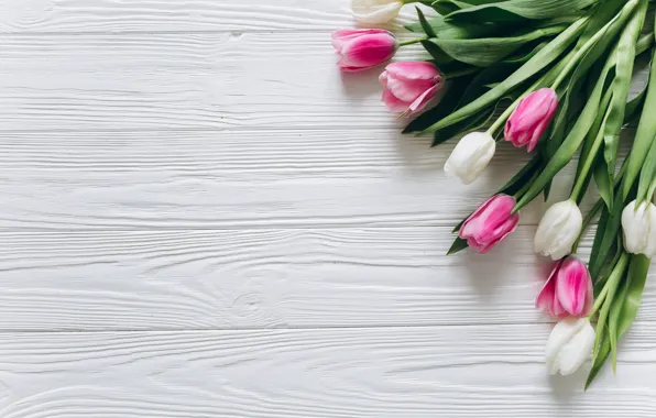 Picture flowers, colorful, tulips, pink, white, white, fresh, wood