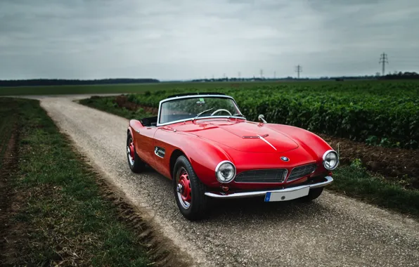 BMW, beauty, 507, 1959, sports car, BMW 507, iconic