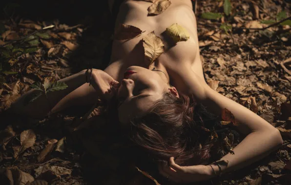 Picture autumn, leaves, girl